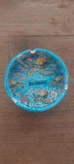 Schildpad asbak- Barbados Souvenir, Overige materialen, Schaal, Rond, Nieuw