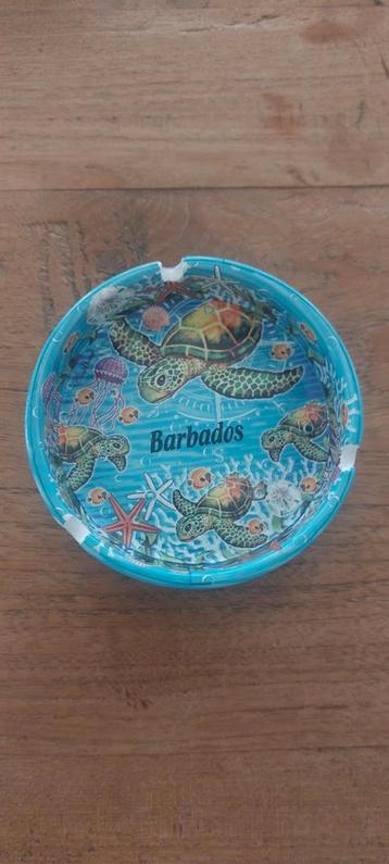 Schildpad asbak- Barbados Souvenir beschikbaar voor biedingen