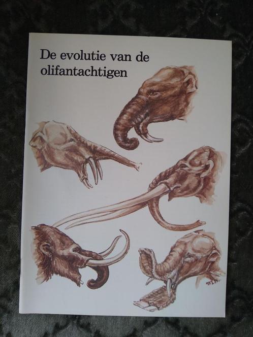 De evolutie van olifantachtigen, Boeken, Natuur, Nieuw, Overige onderwerpen, Ophalen of Verzenden