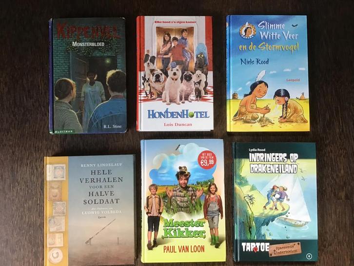 6 gebonden jeugdboeken o.a. Niels Rood - Lydia Rood etc., Boeken, Kinderboeken | Jeugd | 10 tot 12 jaar, Zo goed als nieuw, Ophalen of Verzenden