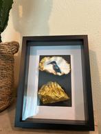 IJsvogels ijsvogel uniek cadeau in een foto lijstje, Meerdere dieren, Tropenvogel