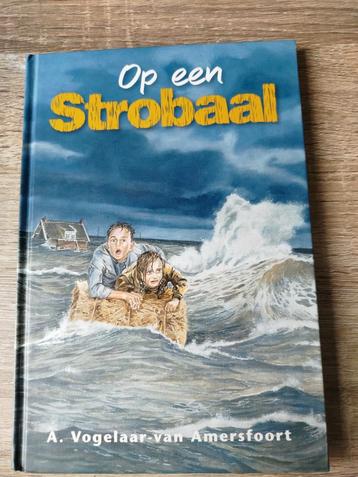 A. Vogelaar-van Amersfoort - Op een strobaal beschikbaar voor biedingen