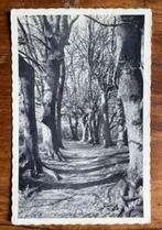 Nijverdal Beukenlaantje op de Eversberg, Verzenden, 1960 tot 1980, Gelopen, Gelderland