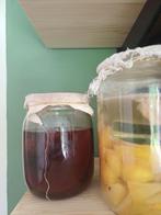 Azijnmoeders voor maken azijn ( appel, wijn), Ophalen of Verzenden
