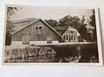 Dedemsvaart Kwekerij Moerheim, Verzamelen, Ansichtkaarten | Nederland, Ophalen of Verzenden, 1940 tot 1960, Ongelopen, Overijssel