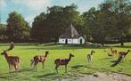 R043 ansichtkaart bergen nh hertenkamp 1971, Verzamelen, Ansichtkaarten | Nederland, Ophalen of Verzenden, 1960 tot 1980, Gelopen