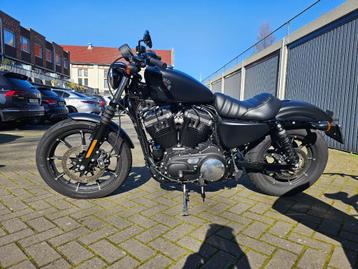 Harley Davidson sportster 883 IRON (nieuw staat)