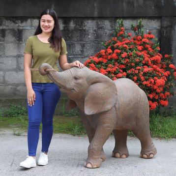 Elephant Calf beeld – Baby Olifant Lengte 142 cm beschikbaar voor biedingen