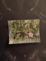 nederland  2024Flora Bonaire   de Sea Purslane, Verzenden, Na 1940, Gestempeld