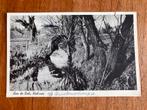 Aan de Beek, Heelsum. 1938., Verzamelen, Ansichtkaarten | Nederland, Ophalen of Verzenden, 1920 tot 1940, Gelopen, Gelderland