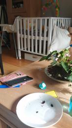 Box, Kinderen en Baby's, Boxen, Verzenden, Gebruikt, Wieltjes