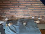 plafondlamp, Huis en Inrichting, Ophalen, Gebruikt, Metaal