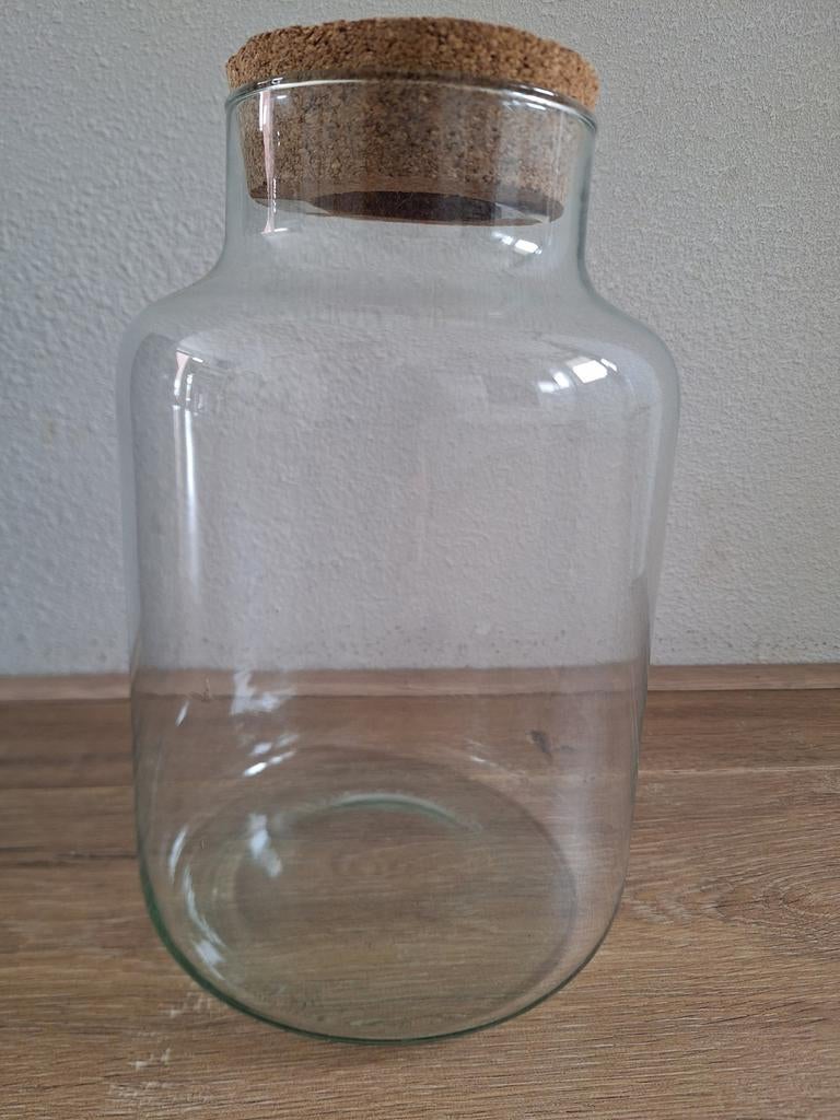 Glazen Terrarium met Kurkdeksel - plant of decoratie, Ophalen