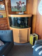 Aquarium, Dieren en Toebehoren, Vissen | Aquaria en Toebehoren, Ophalen of Verzenden, Gebruikt, Leeg aquarium