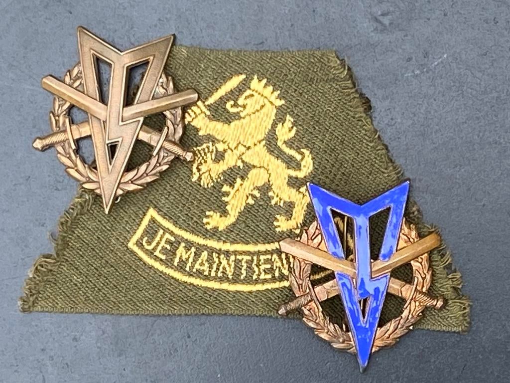 2 x MLV speld en mouw embleem, Verzamelen, Ophalen of Verzenden, Landmacht, Nederland, Embleem of Badge
