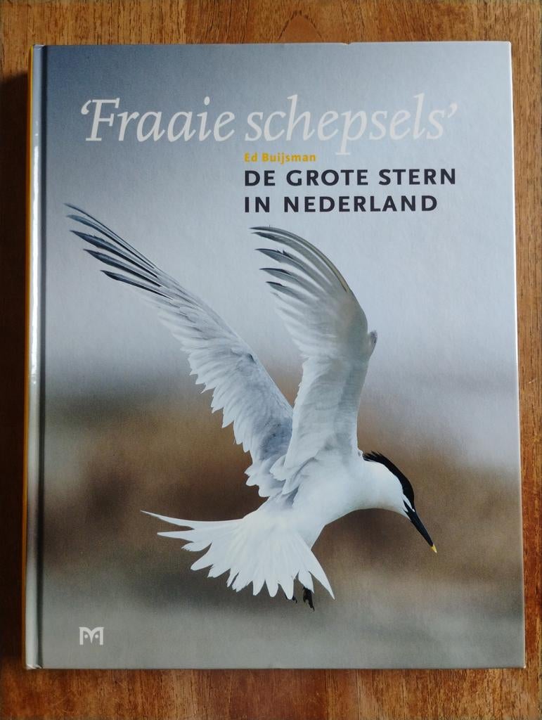 Fraaie schepsels: De Grote Stern in Nederland, Zo goed als nieuw, Vogels, Ed Buijsman, Ophalen of Verzenden
