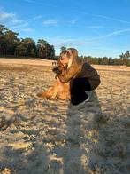 Hondenoppas aangeboden, Uitlaatservice