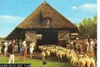 Ansichtkaart	Drenthe	Schaapskudde, Verzenden, 1960 tot 1980, Gelopen, Drenthe