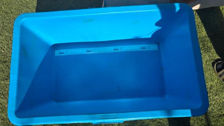 Aquaforte koivat meetbak, Tuin en Terras, Vijvers, Ophalen