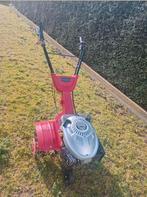 tuinfrees te koop, Ophalen of Verzenden, 50 cm of meer