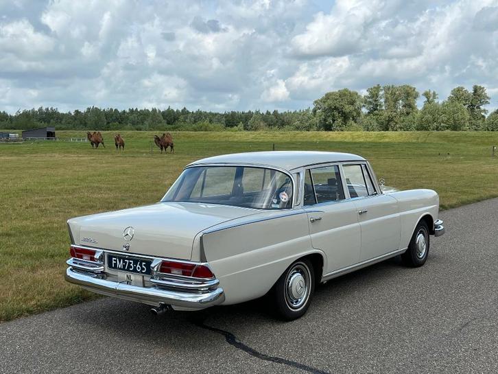 Mercedes-Benz S-Klasse 2.2 220 S 1965 Grijs/ wit, Auto's, Mercedes-Benz, Particulier, S-Klasse, Benzine, Sedan, Handgeschakeld