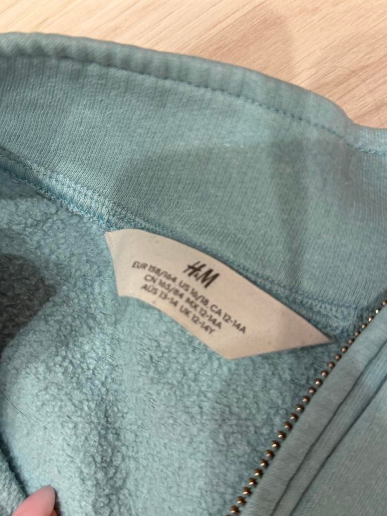 Kleding pakket maat 158/164, Kinderen en Baby's, Kinderkleding | Maat 158, Ophalen of Verzenden, Gebruikt, Meisje, Trui of Vest