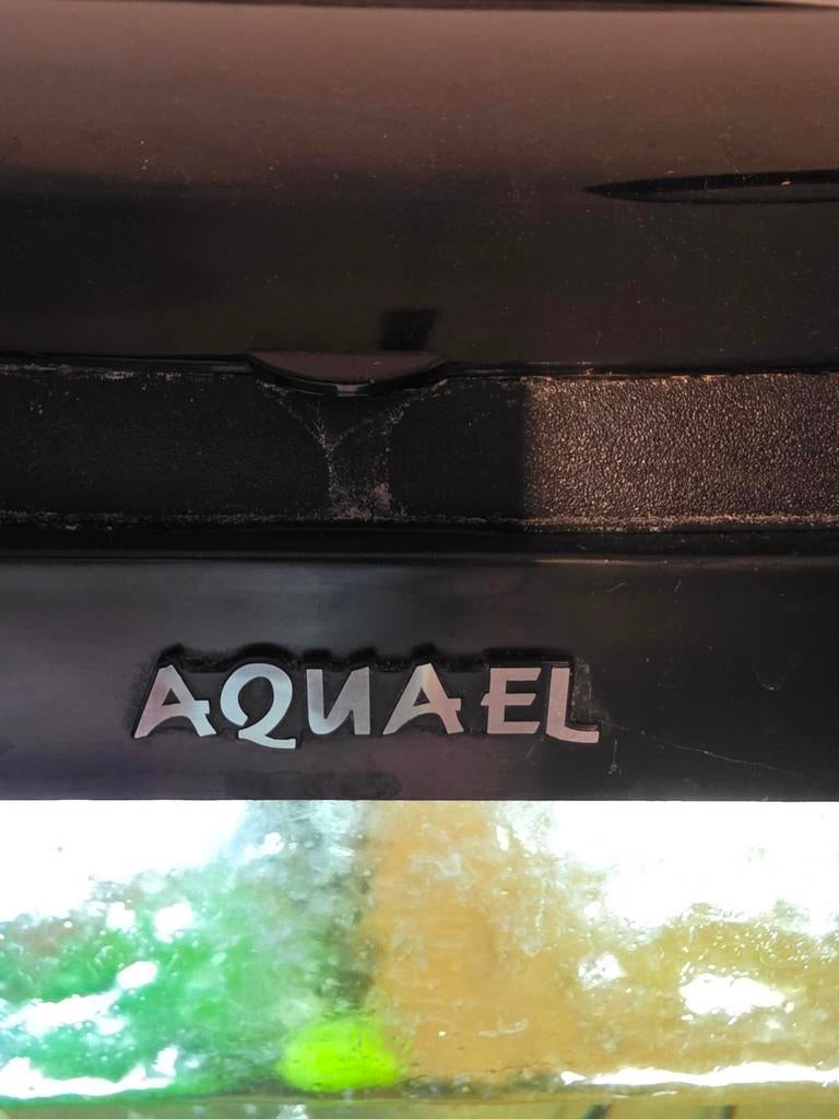 Aquarium 60 x 50 x 30 cm, Dieren en Toebehoren, Vissen | Aquaria en Toebehoren, Ophalen, Leeg aquarium, Aquael@vis.nl, Friesland