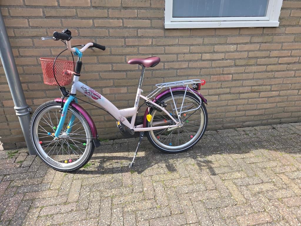 Alpina GirlPower 22 inch meisjesfiets - Gebruikt, nog prima!, Fietsen en Brommers, Ophalen of Verzenden, Gebruikt, 22 inch, Alpina