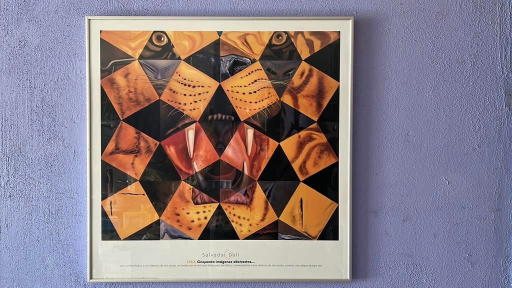 Te koop Salvador dali, Antiek en Kunst, Kunst | Etsen en Gravures, Ophalen of Verzenden