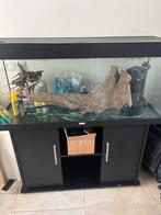 Groot Juwel aquarium, Dieren en Toebehoren, Vissen | Aquaria en Toebehoren, Ophalen, Gebruikt, Leeg aquarium