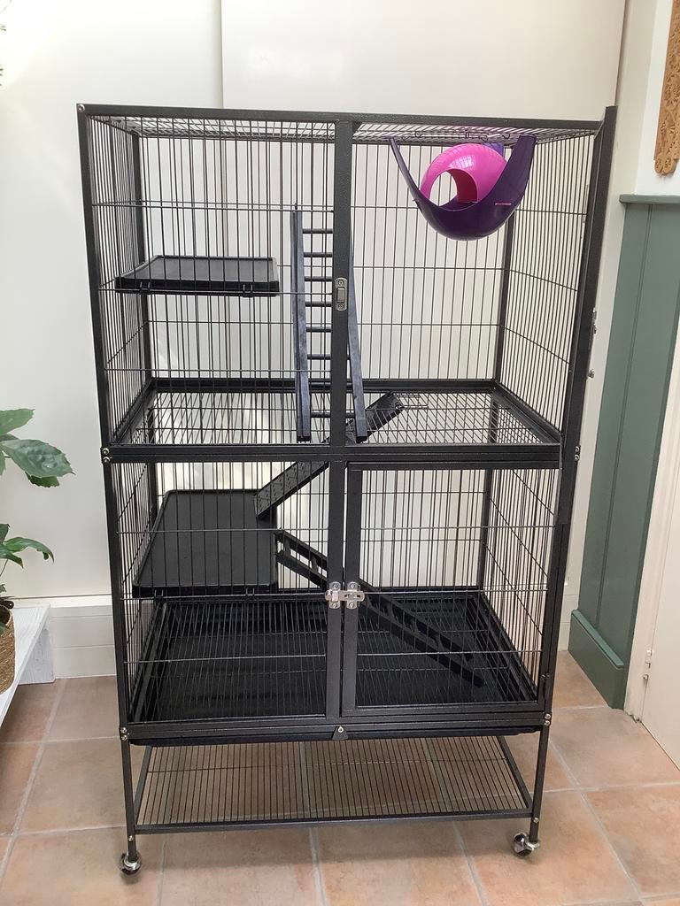 Keddoc rattenkooi home studio, Dieren en Toebehoren, Ophalen, Zo goed als nieuw, 90 cm of meer, 75 tot 110 cm