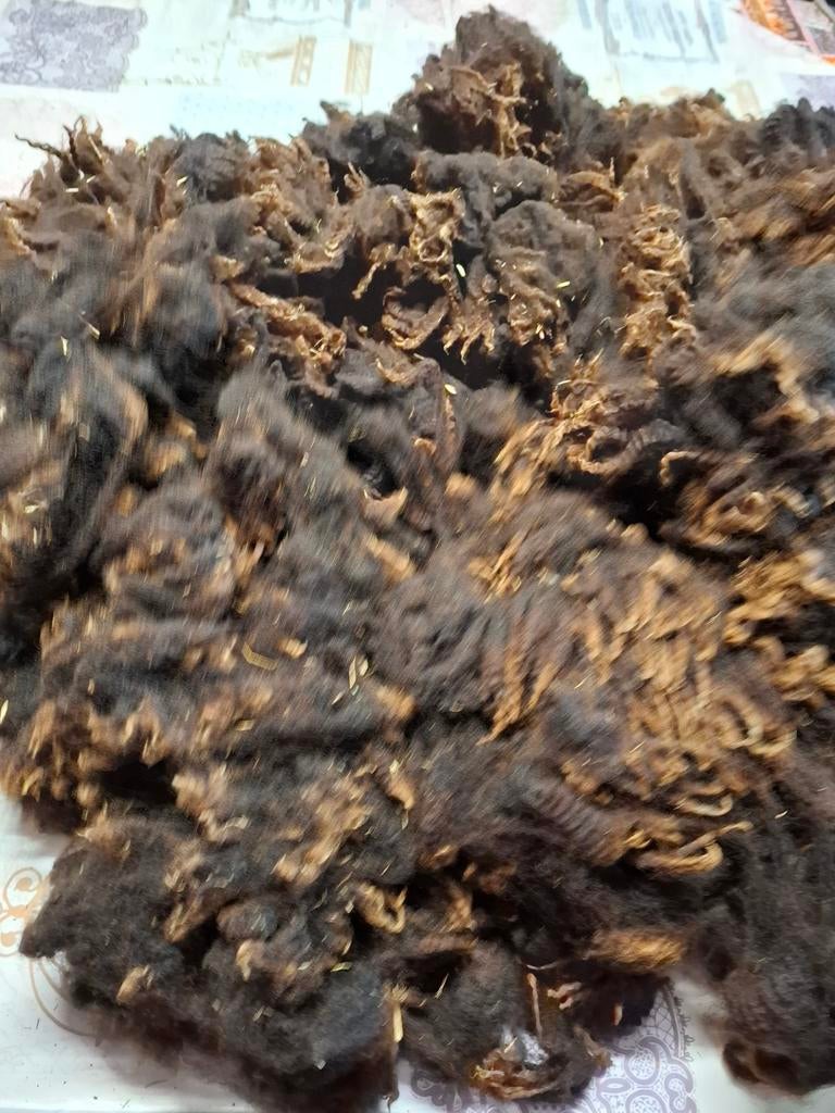 Bruine vacht voor spinnen,  1500gr, Ophalen of Verzenden, Spinwol