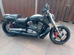 Harley- Davidson V-ROD Muscle VRSCF, Motoren, Motoren | Harley-Davidson, 2 cilinders, Occasion, Chopper, Particulier