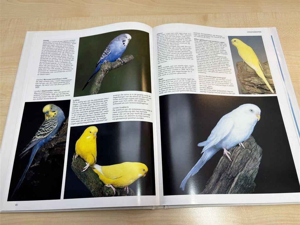 Papegaaien en Parkieten — 200 Soorten in Woord & Beeld, Boeken, Ophalen of Verzenden, Zo goed als nieuw, Vogels