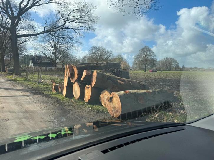 Dik brandhout beuk/eik, Tuin en Terras, Haardhout, Stammen, 6 m³ of meer, Ophalen of Verzenden