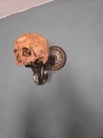 Echte Mensen schedel taxidermie en Osteologie skelet, Ophalen of Verzenden, Schedel