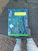 Net een droom - Anne Takens (Kinderboek), Ophalen of Verzenden, Gelezen, Fictie algemeen