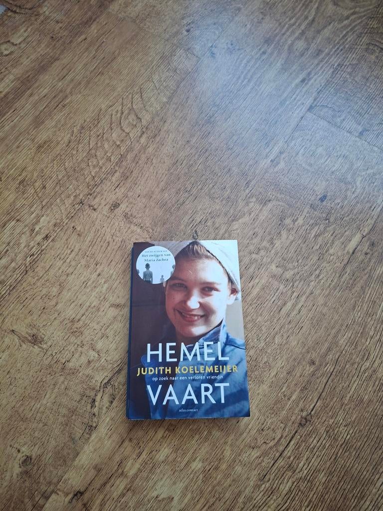 Judith Koelemeijer - Hemelvaart, Boeken, Ophalen of Verzenden, Zo goed als nieuw, Judith Koelemeijer