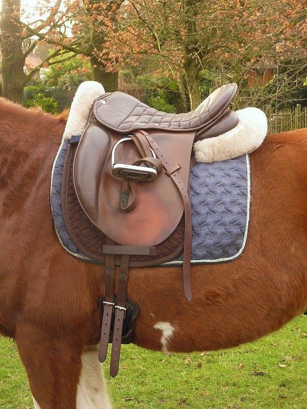 Massimo Trail zadel - 17.5 inch - boom 31, Dieren en Toebehoren, Ophalen, Gebruikt, Recreatie