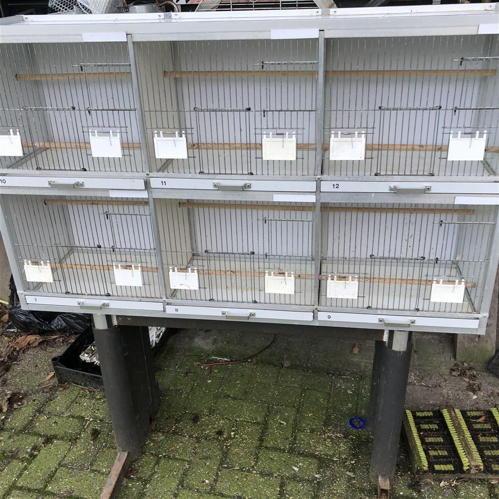 Mooie gebruikte kweekkooi uitmuntend te gebruiken als Broedk, Ophalen of Verzenden, Zo goed als nieuw, Vogelkooi, Info@birdtrade.nl