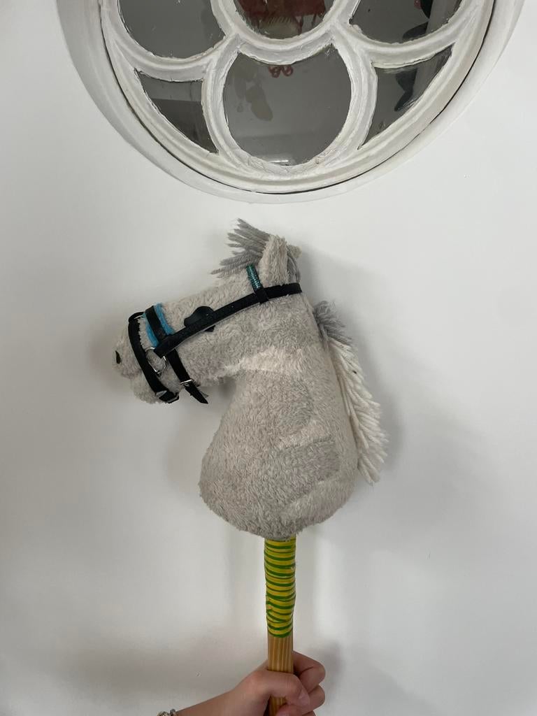 Hobby horse, Ophalen of Verzenden, Zo goed als nieuw, Blauw, Overige materialen