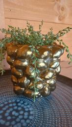 Citroenvaas Des Pots, Ophalen, Overige kleuren, Aardewerk of Porselein, Zo goed als nieuw