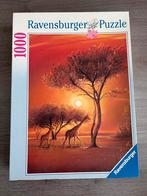 Ravensburger puzzel “Afrika” 1000 stukjes (giraf), Ophalen, 500 t/m 1500 stukjes, Zo goed als nieuw, Legpuzzel