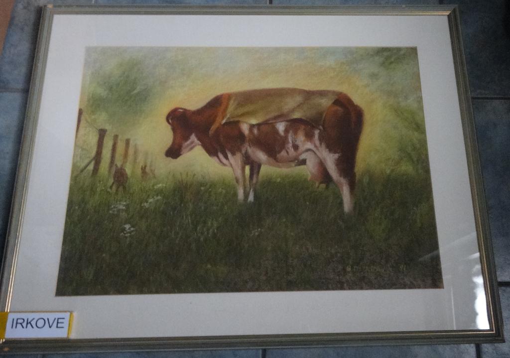 KOE EN HAZEN * KRIJT GEMENGDE TECHNIEK * In Lijst *, Ophalen of Verzenden