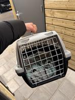 Reiskoffer katten, Dieren en Toebehoren, Ophalen