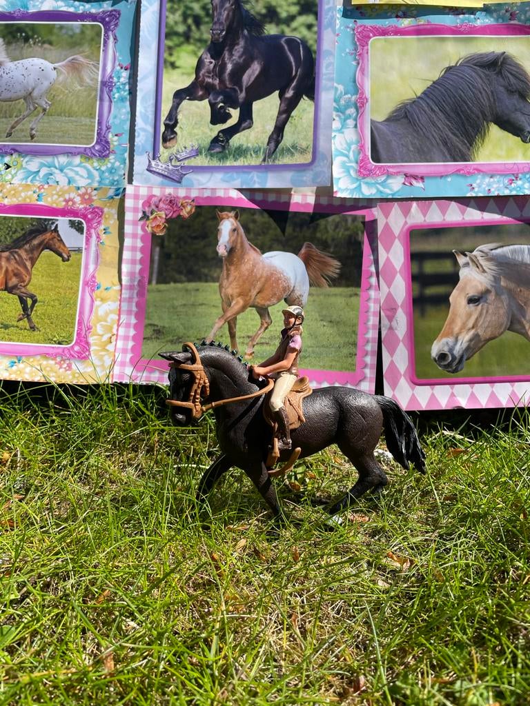 Schleich paarden en ruiters, Ophalen of Verzenden, Gebruikt, Jongen of Meisje