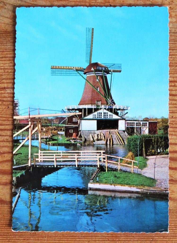 Molen De Herder met houtzagerij in Leiden, Ophalen of Verzenden, Voor 1920, Noord-Brabant