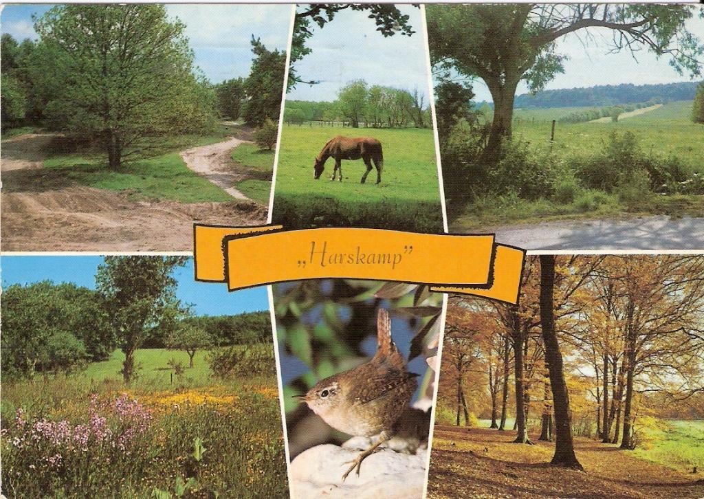 Harskamp            838, Ophalen of Verzenden, Voor 1920