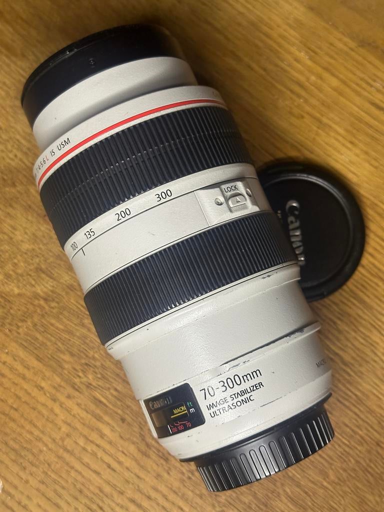 Canon EF 70-300mm L-serie telelens, Audio, Tv en Foto, Fotografie | Lenzen en Objectieven, Ophalen of Verzenden, Gebruikt, Telelens