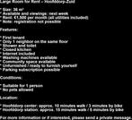 Large Room (36m²) for Rent – Hoofddorp-Zuid, Huizen en Kamers, Kamers te huur, 35 tot 50 m², Amsterdam